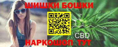 винт Партизанск