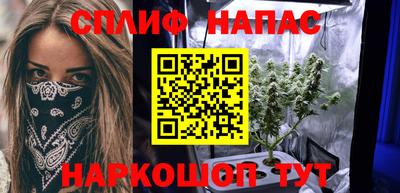 прущие грибы Пенза