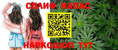 прущие грибы Пенза