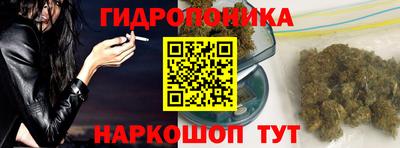 прущие грибы Пенза