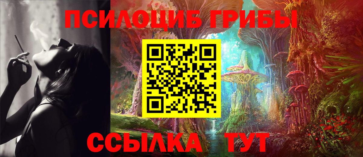 Псилоцибиновые грибы Psilocybe  Вход с VPN  Наро-Фоминск 