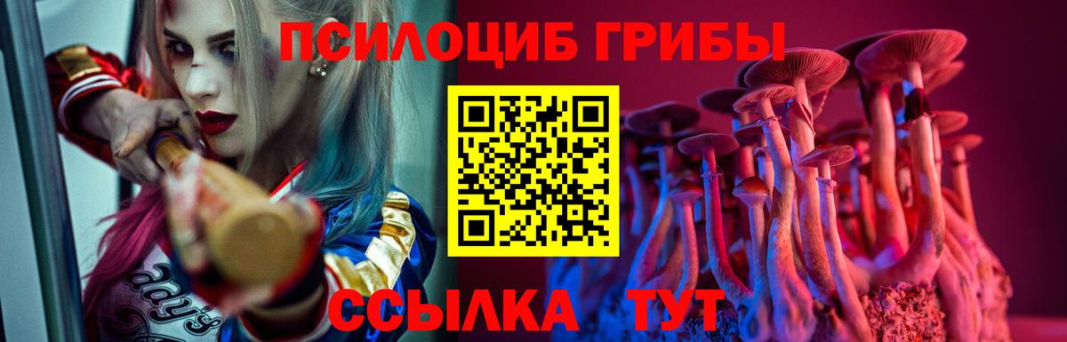 Псилоцибиновые грибы Cubensis Наро-Фоминск